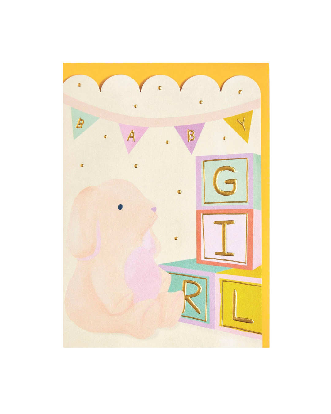 The New Baby Girl Greeting Card.
